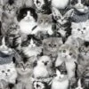 Cat Breeds Packed Cats Grey 2 Cat Breeds Packed Cats Grey -Sewing Supplies Sales 2024 3809e gray