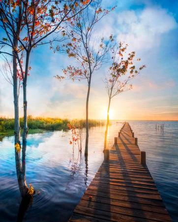 Morning Dream Long Dock Digital Panel AL39930C1, David Textiles 3 Morning Dream Long Dock Digital Panel AL39930C1, David Textiles