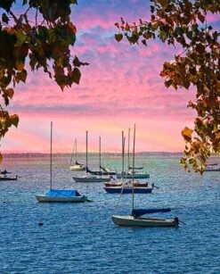 Sailboats At Dawn Digital Panel AL39940C1, David Textiles