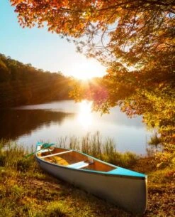 Canoe Digital Panel AL39950C1, David Textiles