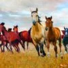 Wild Nature Horses AL44550C1 Digital Panel David Textiles -Sewing Supplies Sales 2024 al44550c1