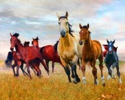 Wild Nature Horses AL44550C1 Digital Panel David Textiles