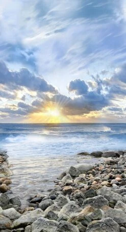 Sunrise On The Coast C8390 Panel Timeless Treasures