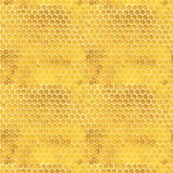 Honey Bee Farm CD2393 Honey Honeycomb Timeless Treasures