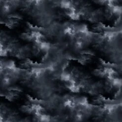 Dragons Sky CD2497 Grey Timeless Treasures