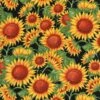 Timeless Treasures Sunflower C7333 Black