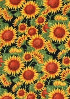 Timeless Treasures Sunflower C7333 Black
