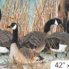 Naturescapes Canada Goose DP21824 42 Digital Panel Northcott -Sewing Supplies Sales 2024 dp21824 42