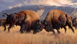 Naturescapes When Push Comes To Shove DP21934 34 Buffalo Digital Panel, Northcott