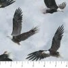 Naturescapes When Eagles Soar DP23041 Digital 43 Air Eagles, Northcott -Sewing Supplies Sales 2024 dp23041 43