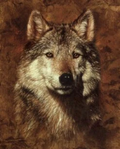 Wolf ML31761C1 Digital Panel David Textiles