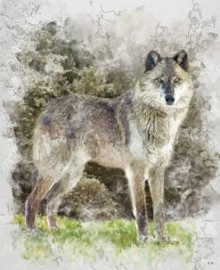 Natures Window DP11868 Wolf 36 Inch Digital Panel Riley Blake