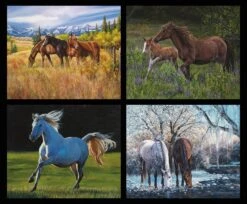 High Horse PD11125 Digital Panel Pillow Squares Horses Riley Blake