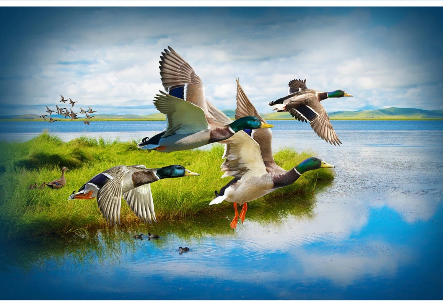 Call Of The Wild S4776 272 Mallard Digital Panel Hoffman 3 Call Of The Wild S4776 272 Mallard Digital Panel Hoffman