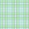 Mammoth Junior Flannel 19839 32 Mint Plaid Robert Kaufman Fabrics -Sewing Supplies Sales 2024 srkf 19839 32
