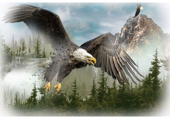 Call Of The Wild T4959 16 Eagle Digital Panel 3 Call Of The Wild T4959 16 Eagle Digital Panel