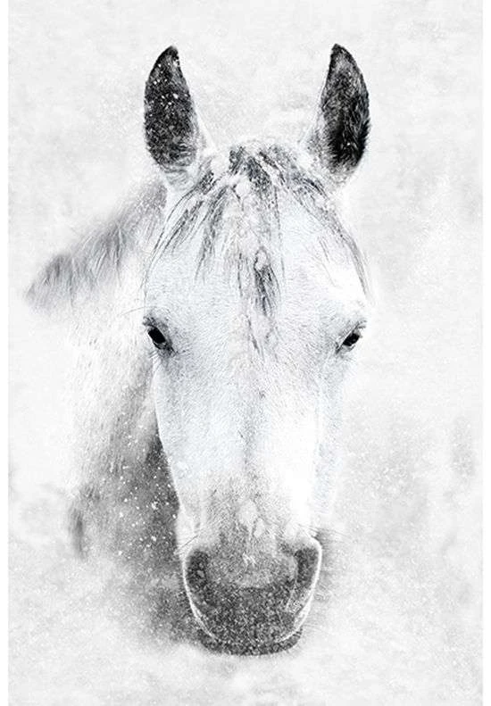 Call Of The Wild U5017 147 Storm Horse Digital Panel Hoffman 3 Call Of The Wild U5017 147 Storm Horse Digital Panel Hoffman