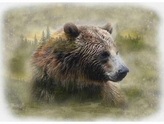 Call Of The Wild U5063 260 Grizzly Digital Panel Hoffman 3 Call Of The Wild U5063 260 Grizzly Digital Panel Hoffman