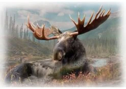 Call Of The Wild U5067 25 Moose Digital Panel Hoffman