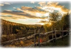 Sun Up To Sun Down U5072 47 Afternoon Pause Digital Panel Hoffman