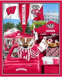 Wisconsin Tailgate Panel 1157 WI Sykel