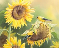 Golden Finch WW32391C1 Digital Panel David Textiles
